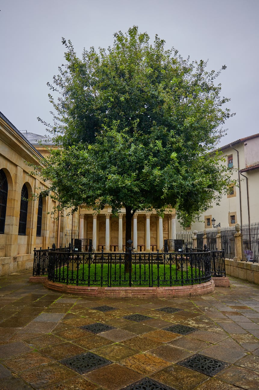 BASQUEFIK Gobierno Interno